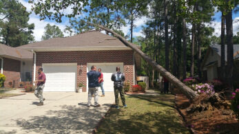 Crew removing a fallen tree from a driveway